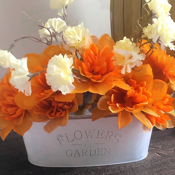 Container, decor, storage, multipurpose - Picture 2 of 2